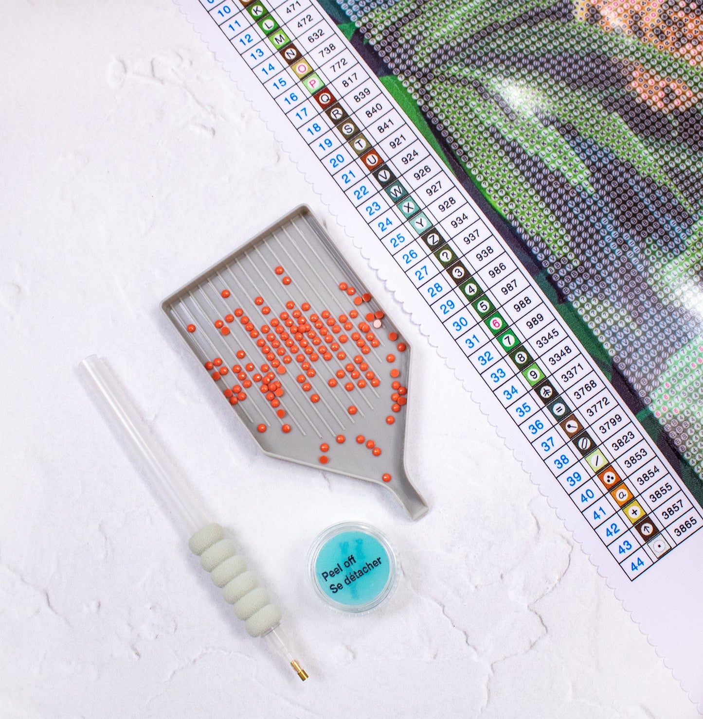 LT02 Leopard on a Branch