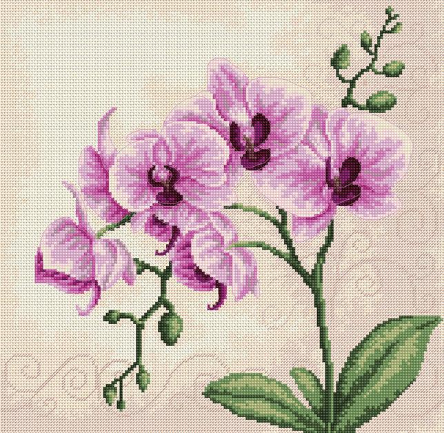 Cross Stitch Kit Luca-S - Orchid, B2227 - Luca-S Cross Stitch Kits
