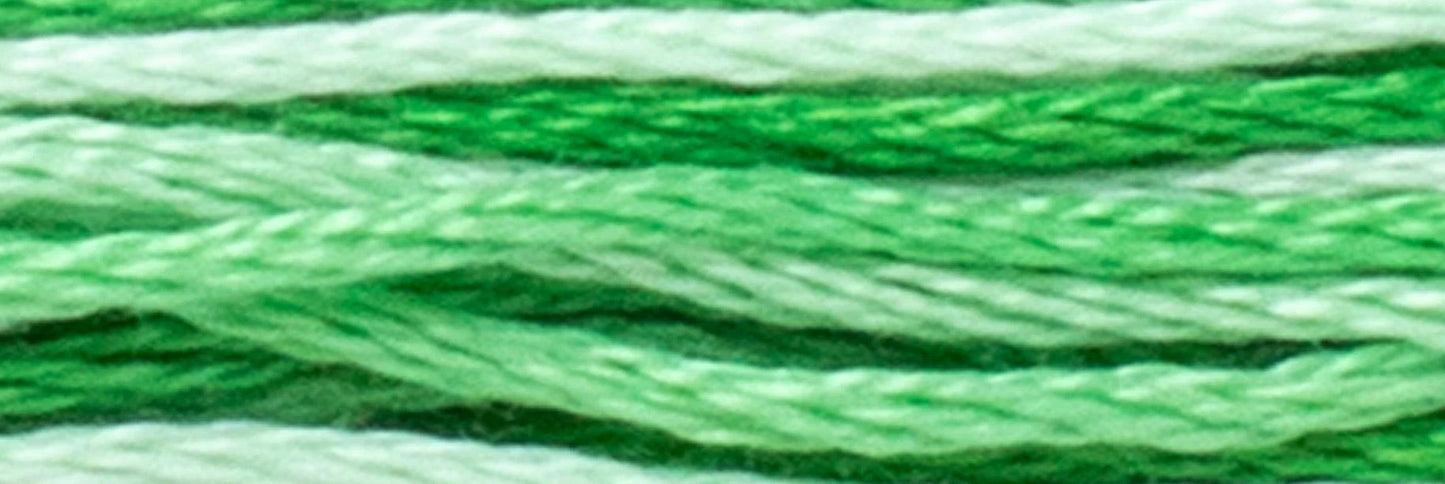 Filato di cotone multicolore Luca-S - 511