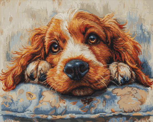 Kit punto croce Luca-S - Cocker Spaniel, BU5058