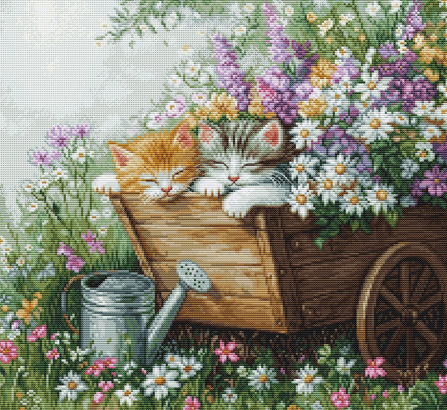 Kit punto croce Luca-S - Il sonno dei gattini, BU5093