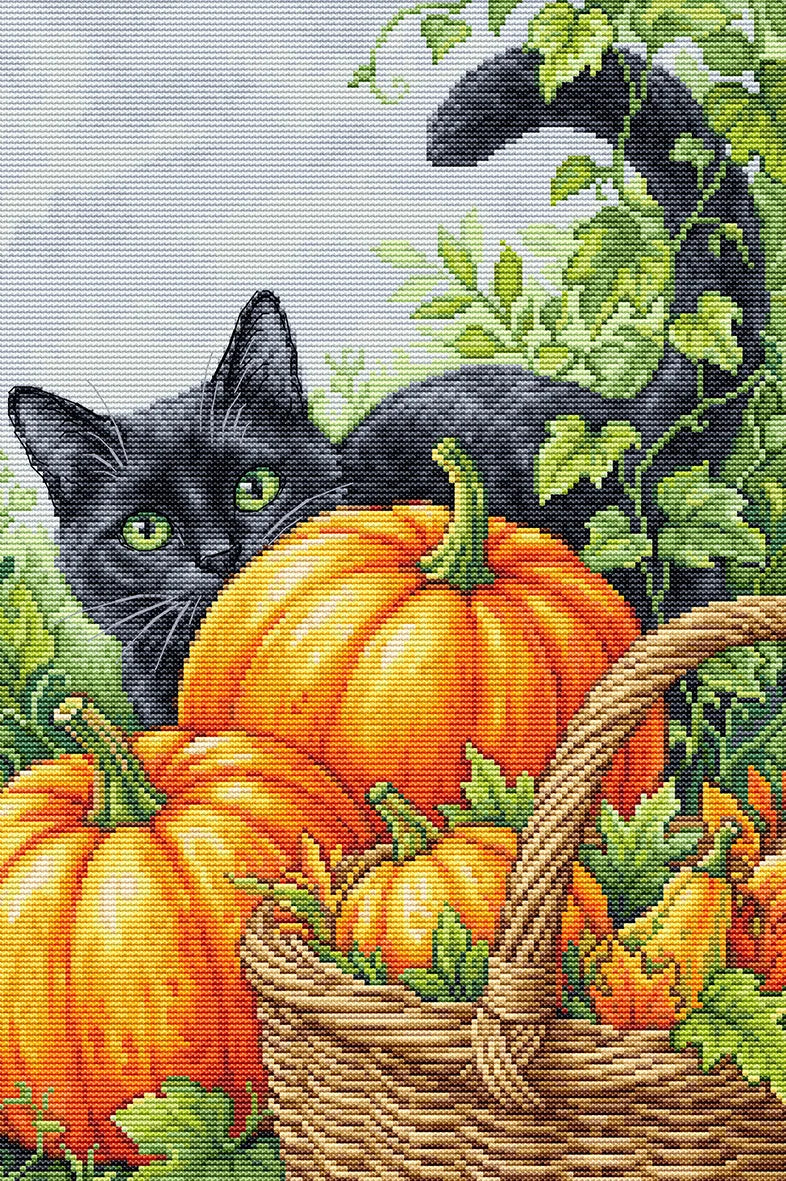 Kit punto croce Luca-S BU5116 Fascino d’Ottobre con gatto nero e zucche