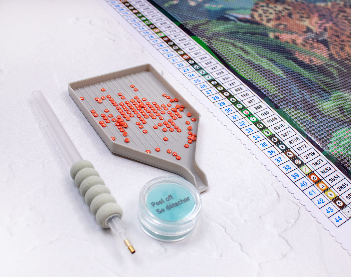 LT02  Leopard on a Branch