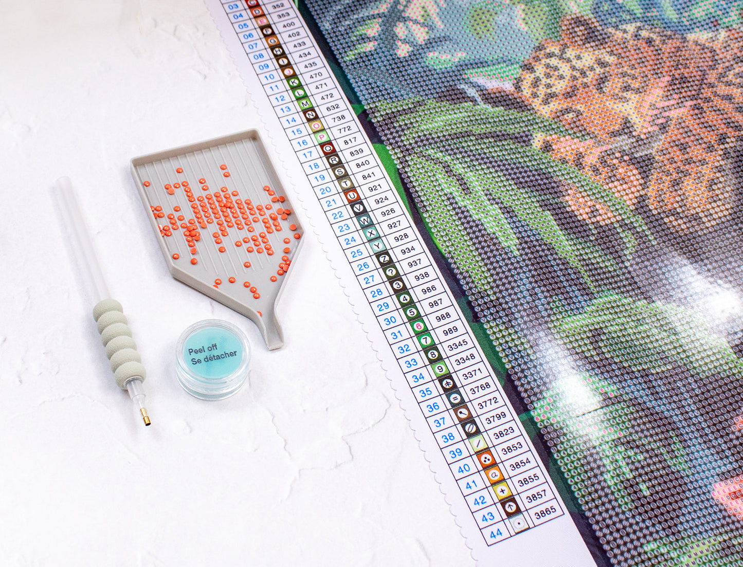 LT02  Leopard on a Branch