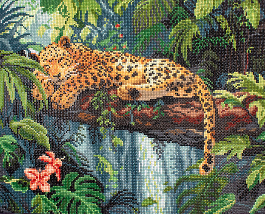 LT02  Leopard on a Branch