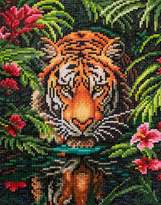 LT04 Tigre nella giungla