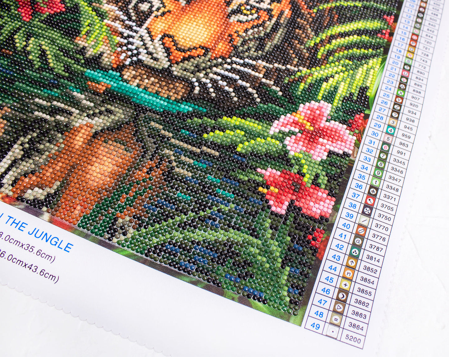 LT04 Tiger in the Jungle