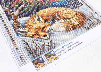 LT05 Sleeping Fox