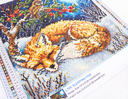 LT05 Sleeping Fox