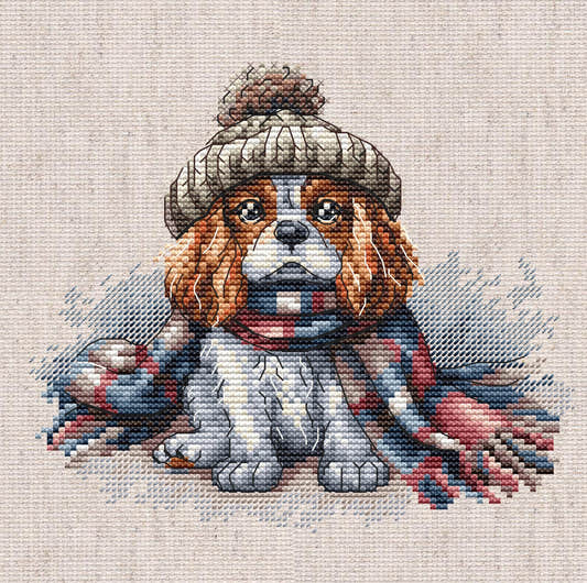 Cavalier King Charles Spaniel - Kit punto croce AVA P037