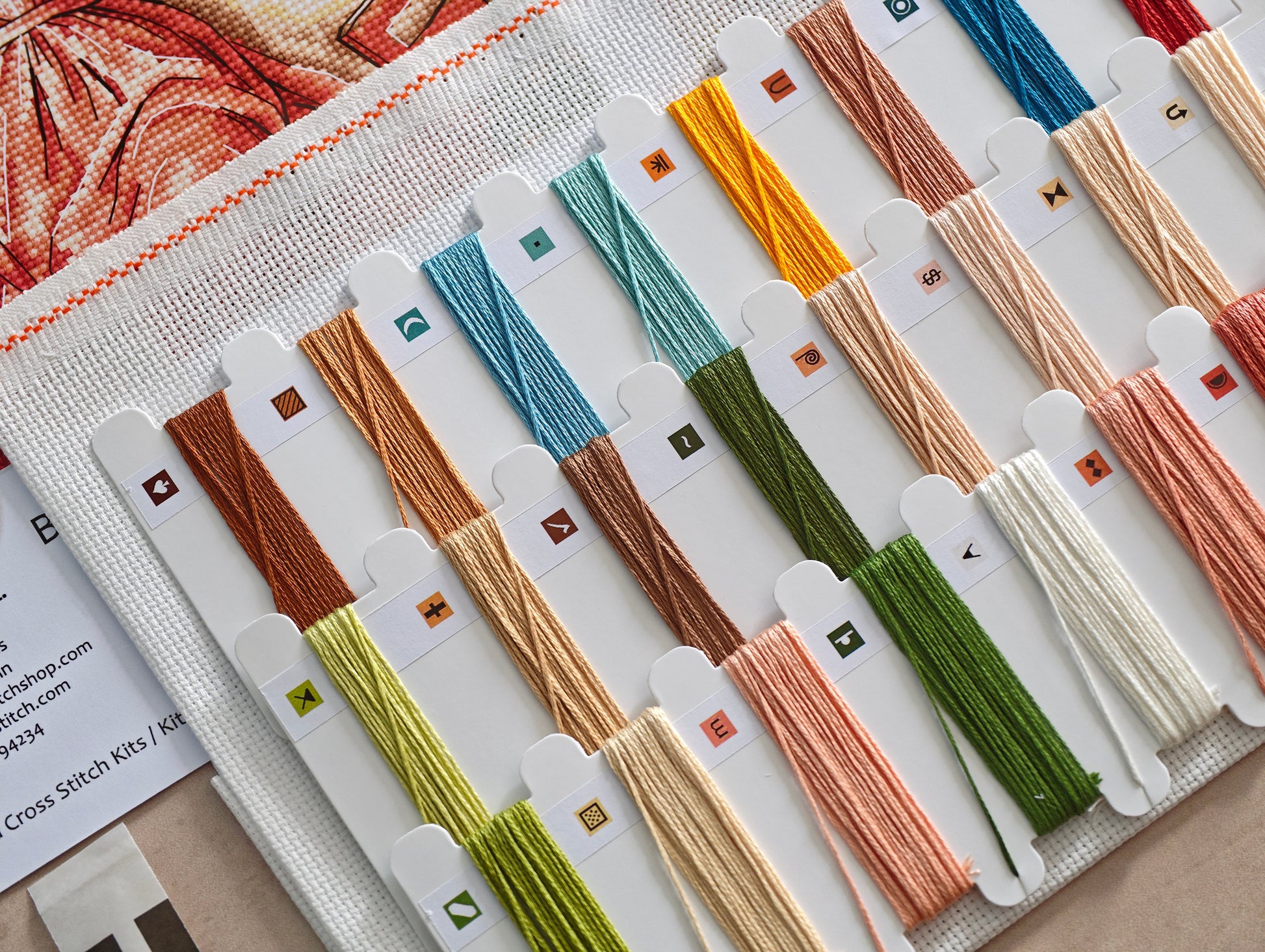 Dettaglio 8 del kit ricamo AVA P114 – Libri, fiori e sogni