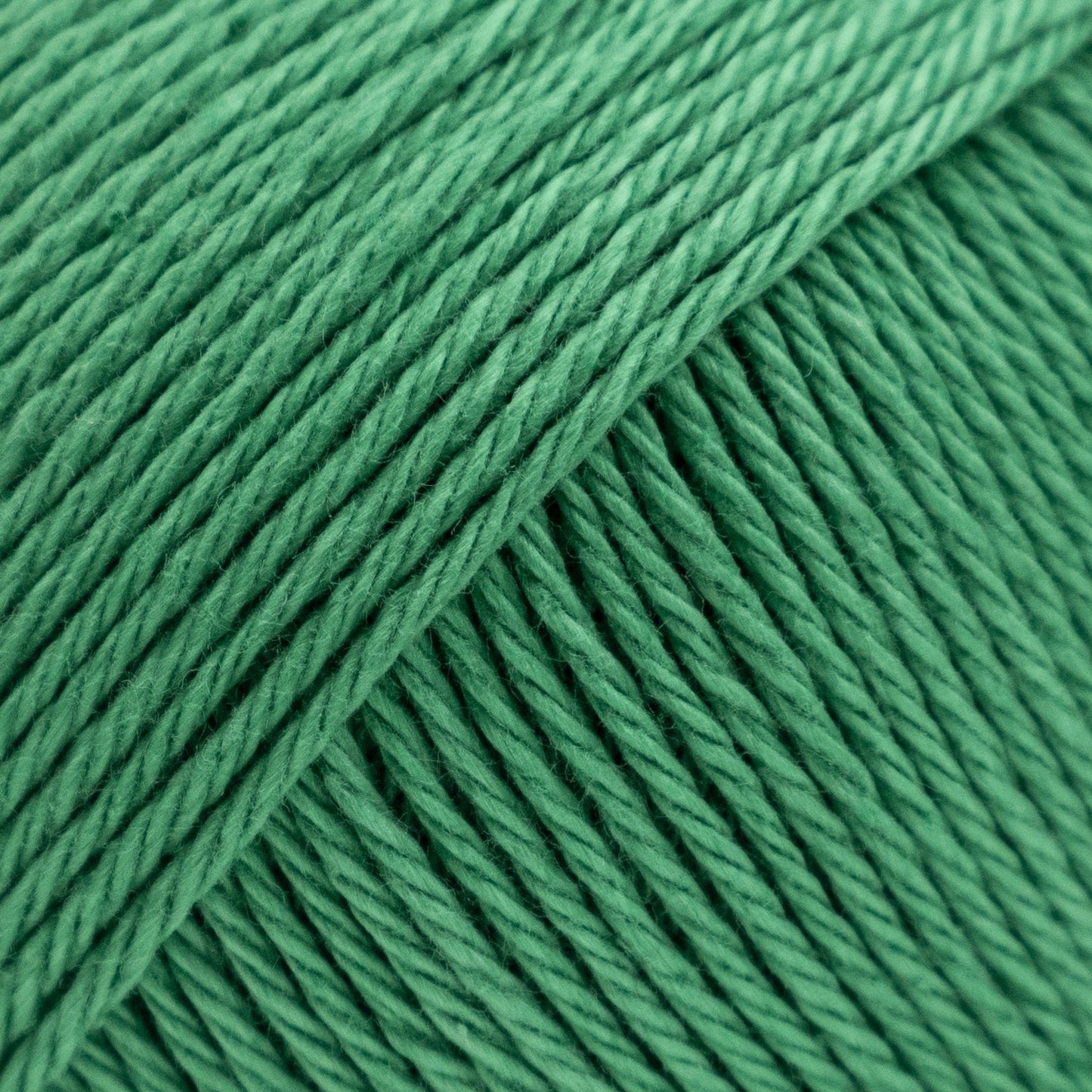 Luca-S Palermo 5 Pack