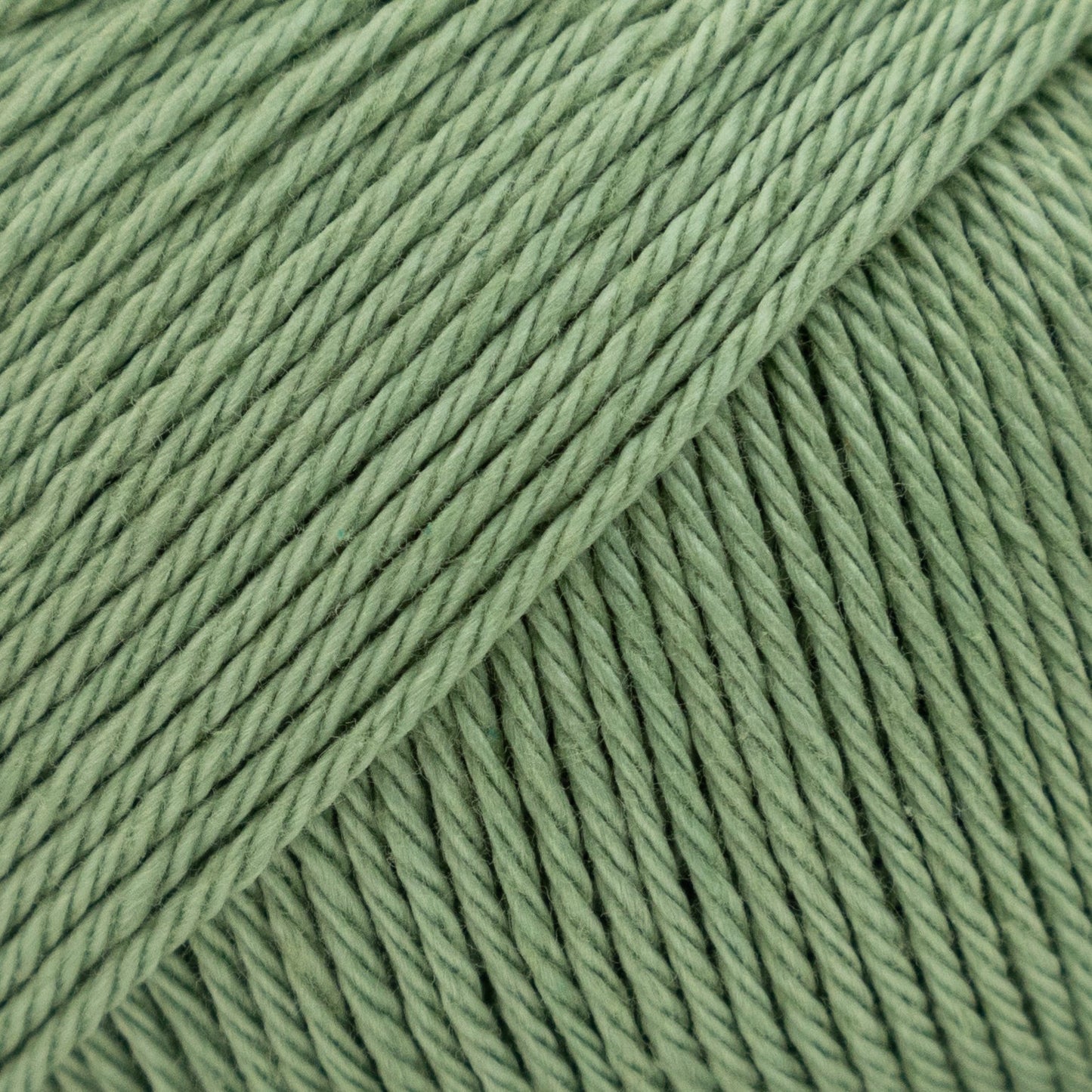 Luca-S Palermo 5 Pack