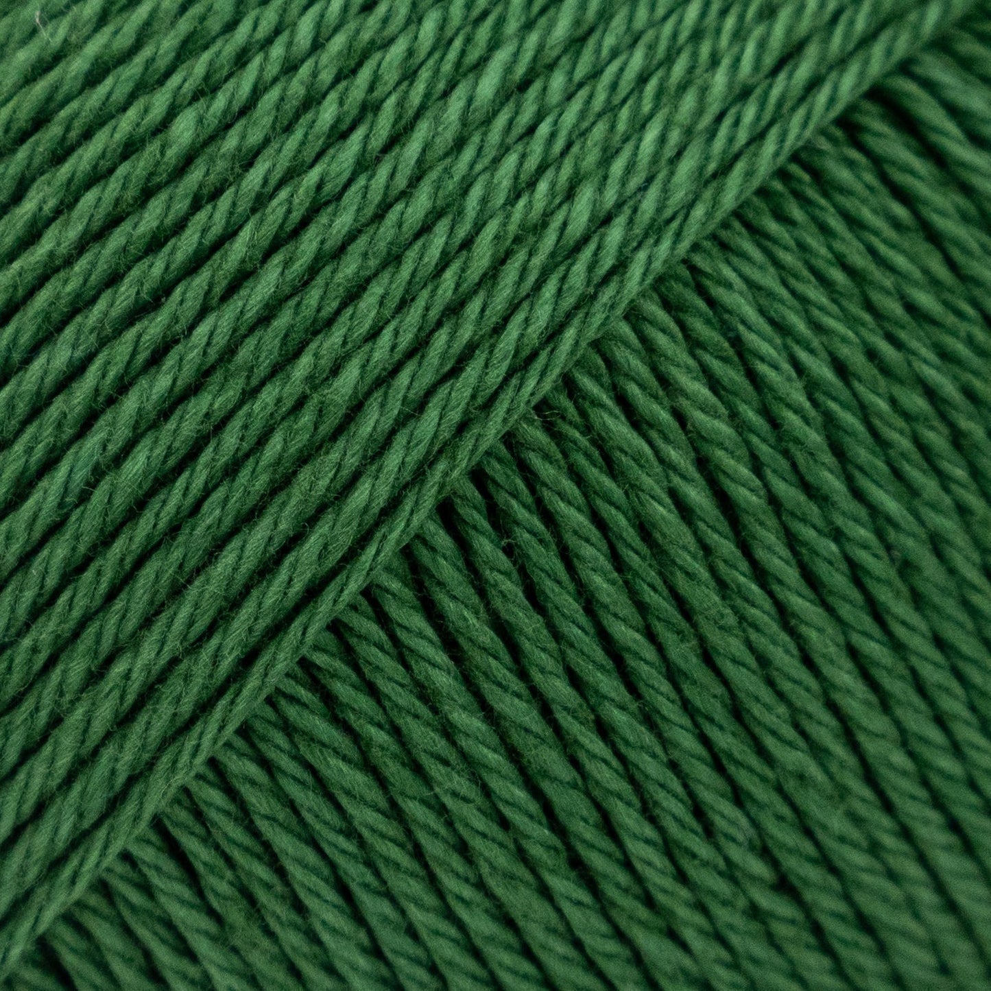 Luca-S Palermo 5 Pack