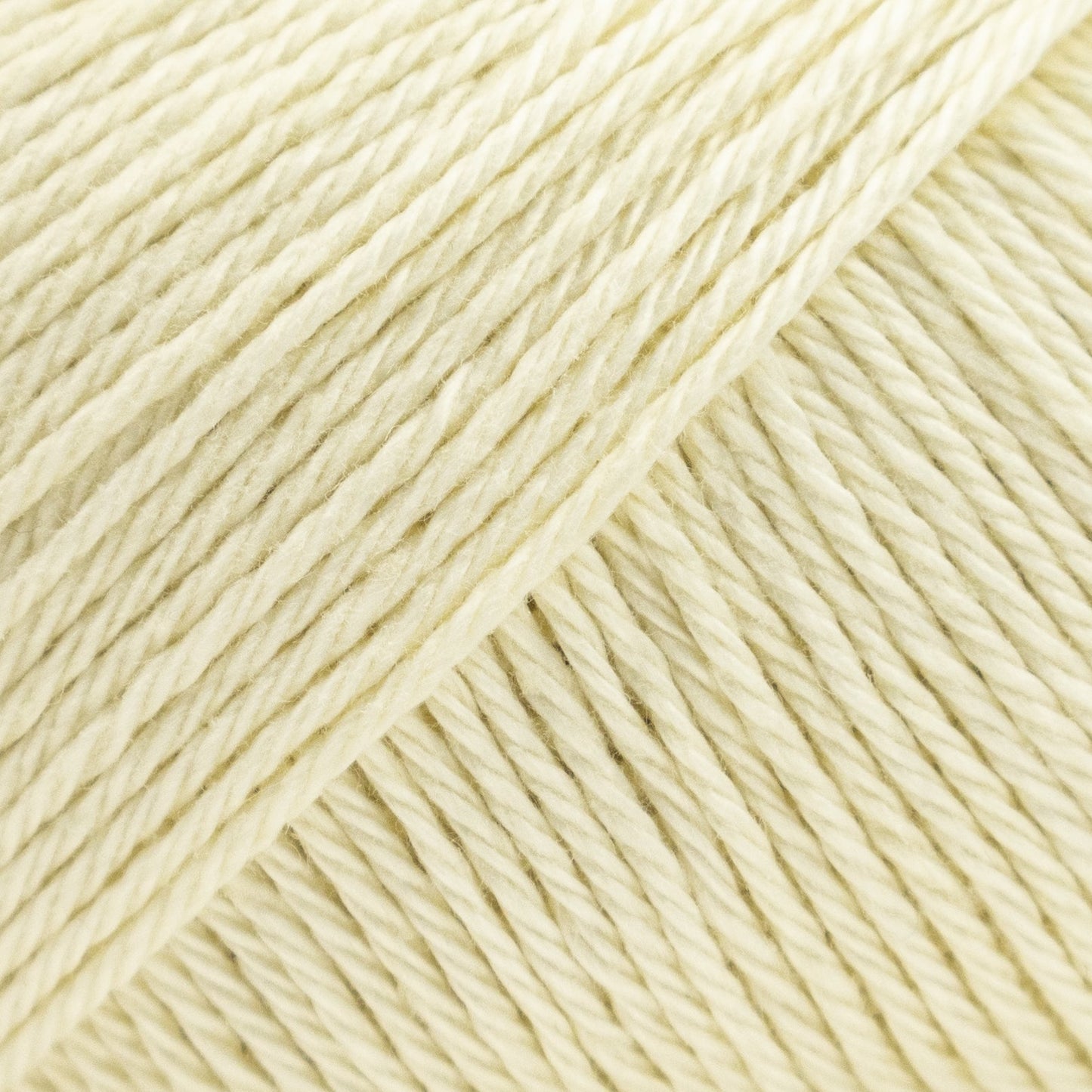 Luca-S Palermo 5 Pack