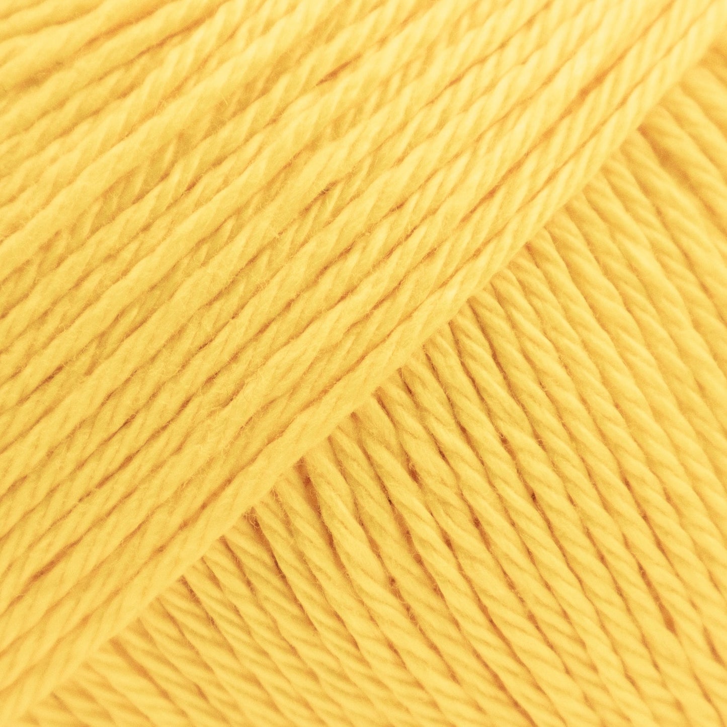 Luca-S Palermo 5 Pack