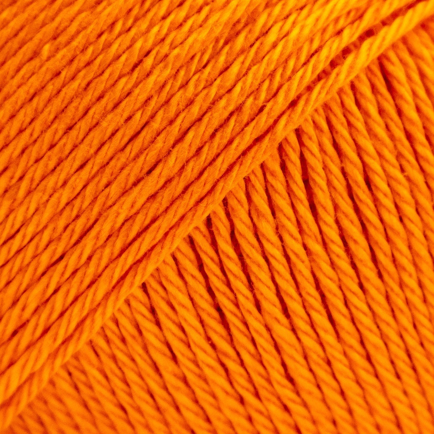 Luca-S Palermo 5 Pack