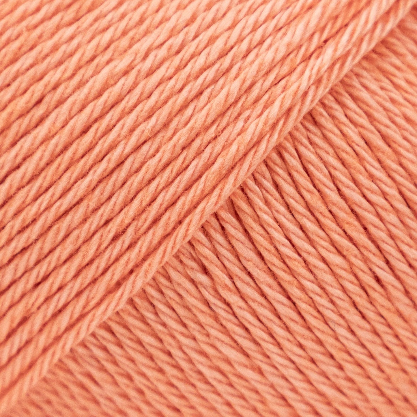 Luca-S Palermo 5 Pack