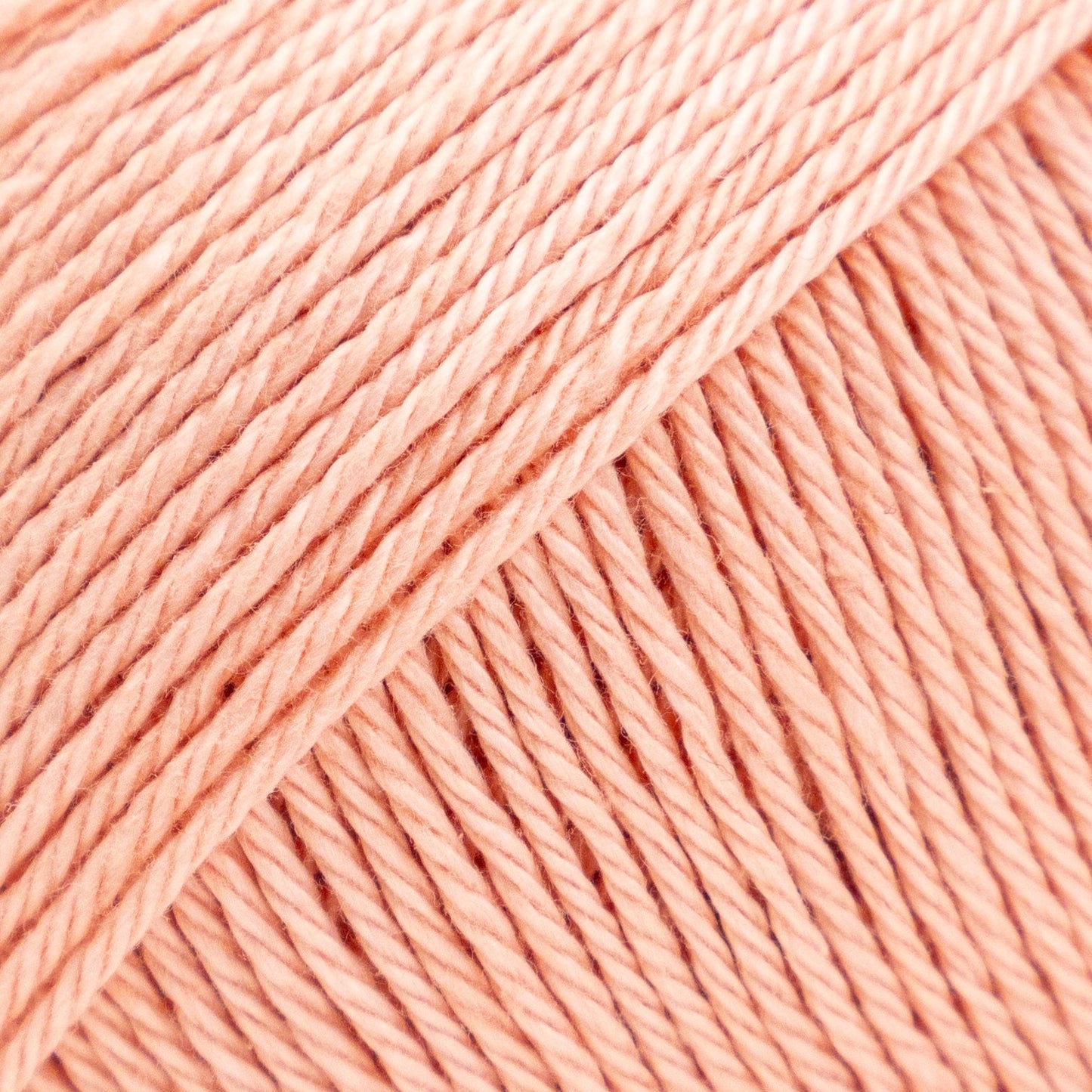 Luca-S Palermo 5 Pack