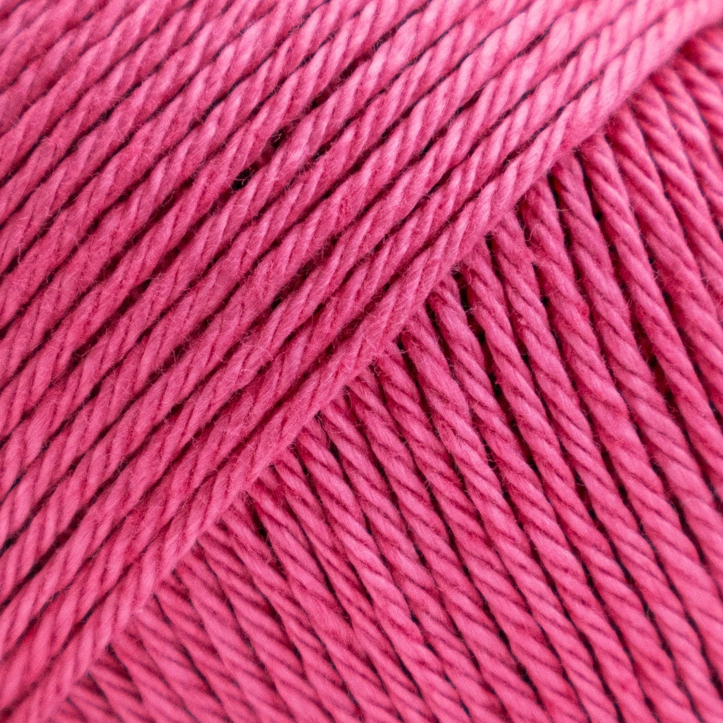 Luca-S Palermo 5 Pack