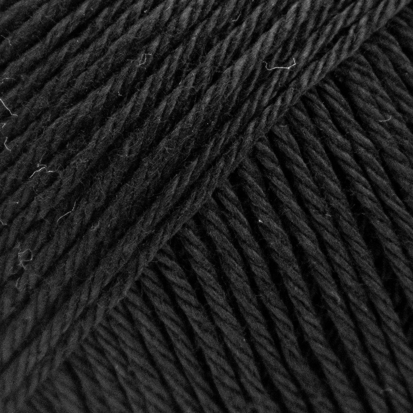 Luca-S Palermo 5 Pack