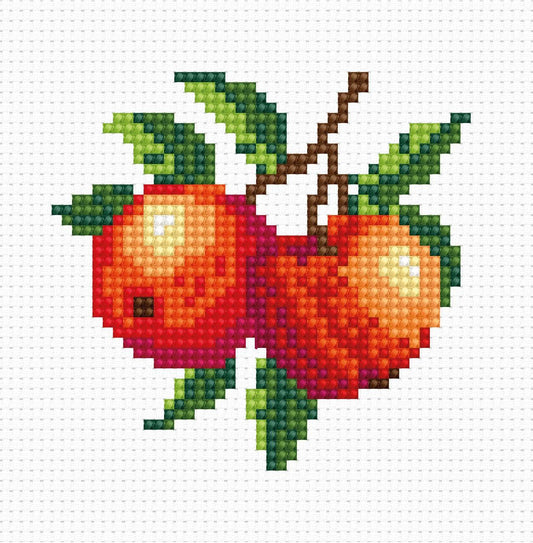 Cross Stitch Kit for Beginners - Kids Embroidery Kit B028 - Luca-S Cross Stitch Kits