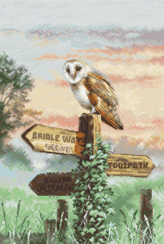 Cross Stitch Kit LetiStitch - Barn Owl, L8031 Cross Stitch Kits - HobbyJobby