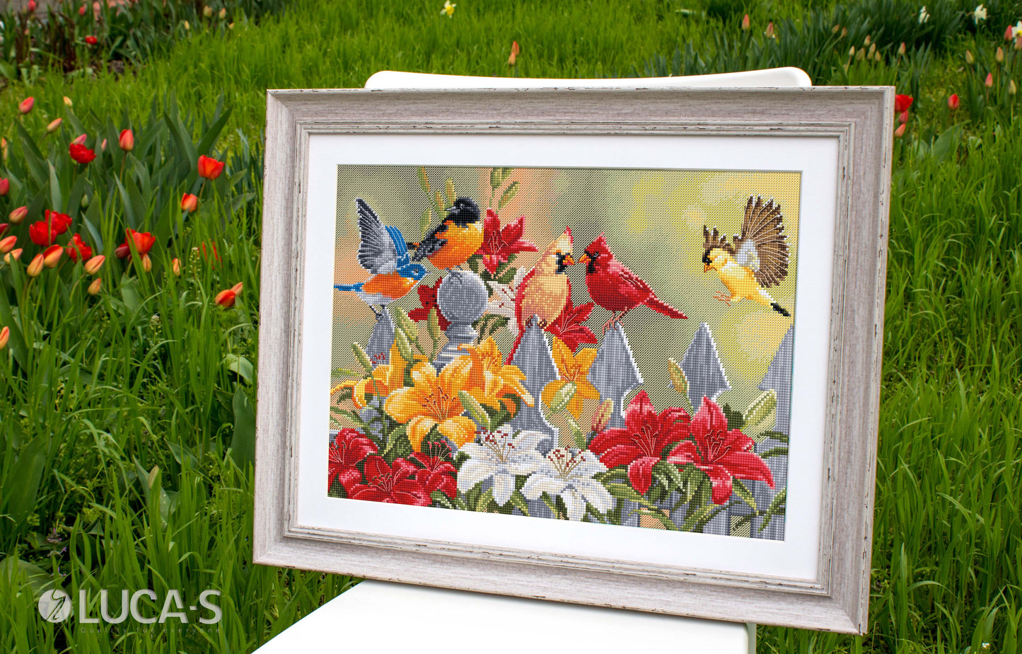 Cross Stitch Kit Luca-S - Backyard Birds with Daylilies, BU5024 - Luca-S Cross Stitch Kits