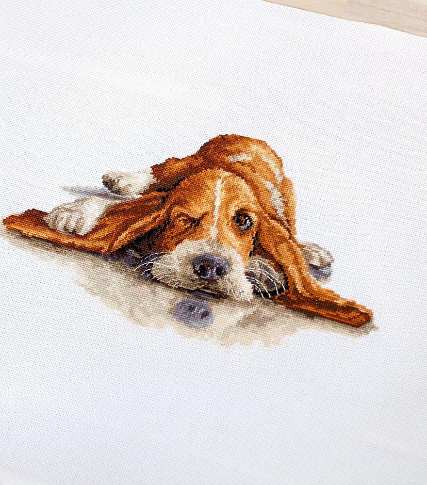 Cross Stitch Kit Luca-S - Basset, B2341 - Luca-S