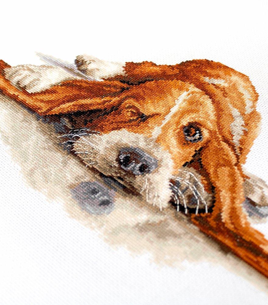 Cross Stitch Kit Luca-S - Basset, B2341 - Luca-S