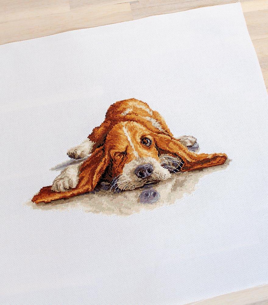 Cross Stitch Kit Luca-S - Basset, B2341 - Luca-S