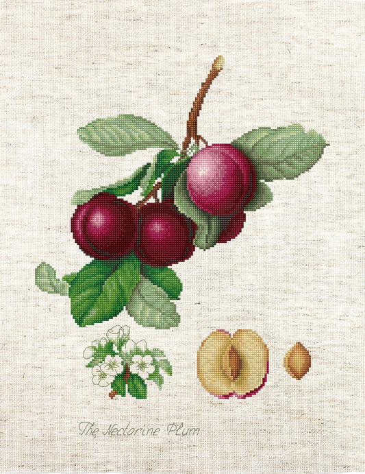 Cross Stitch Kit Luca-S - The Nectarine Plum, BA22480 - Luca-S Cross Stitch Kits