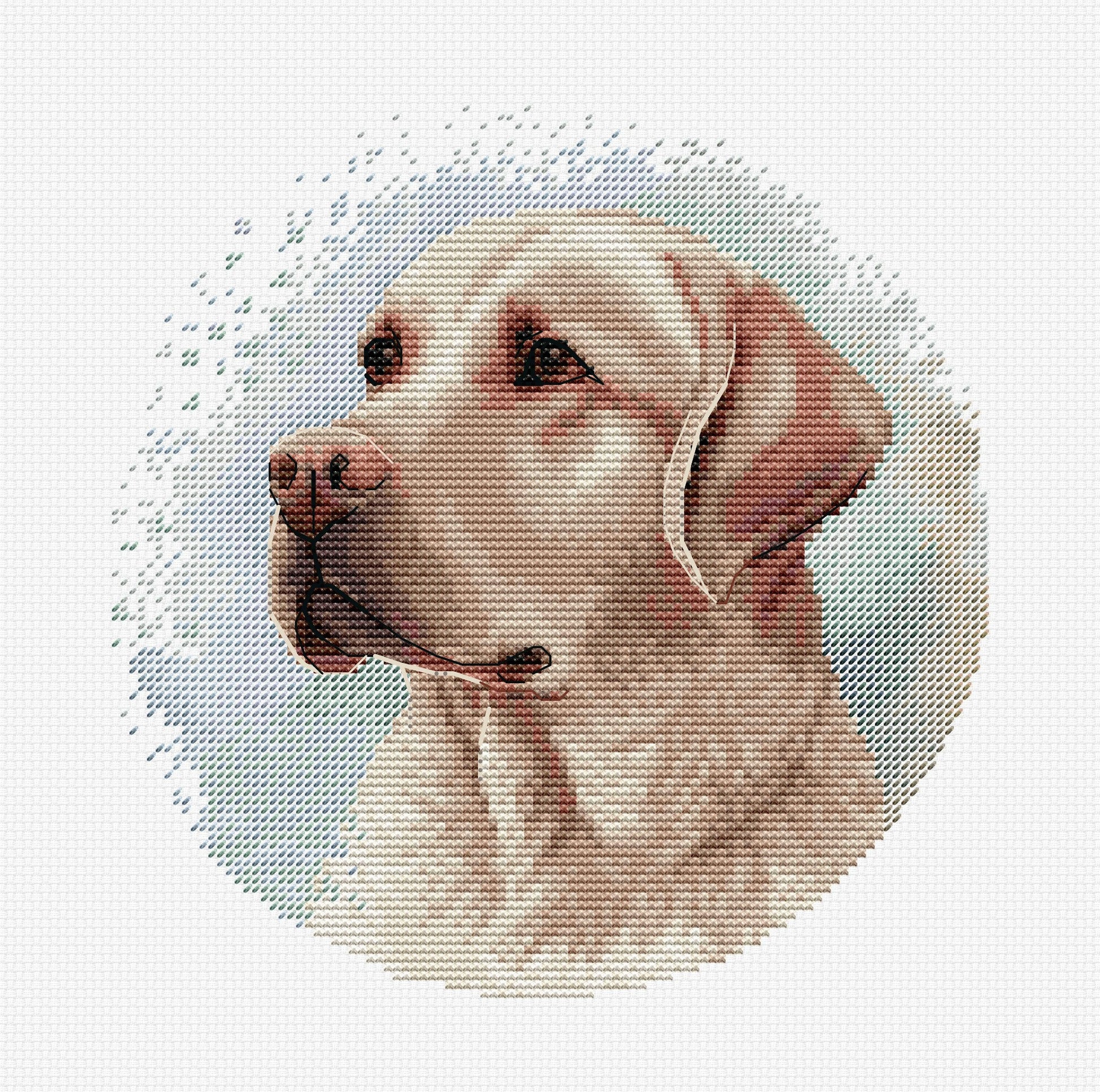 Cross Stitch Kit with Hoop Included Luca-S - BC211, The Labrador - Luca-S Cross Stitch Kits