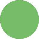 DMC Green Range - DMC Stranded Cotton - HobbyJobby