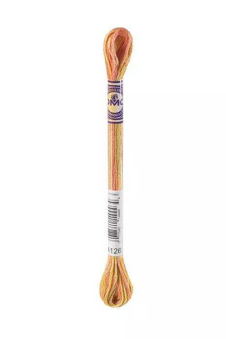 DMC Thread Color Variations Stranded Cotton - HobbyJobby