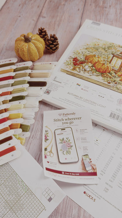 Video unboxing del kit punto croce Luca-S BU5114 Autunno alla luce della lanterna, con confezione, filati e schema da ricamo.